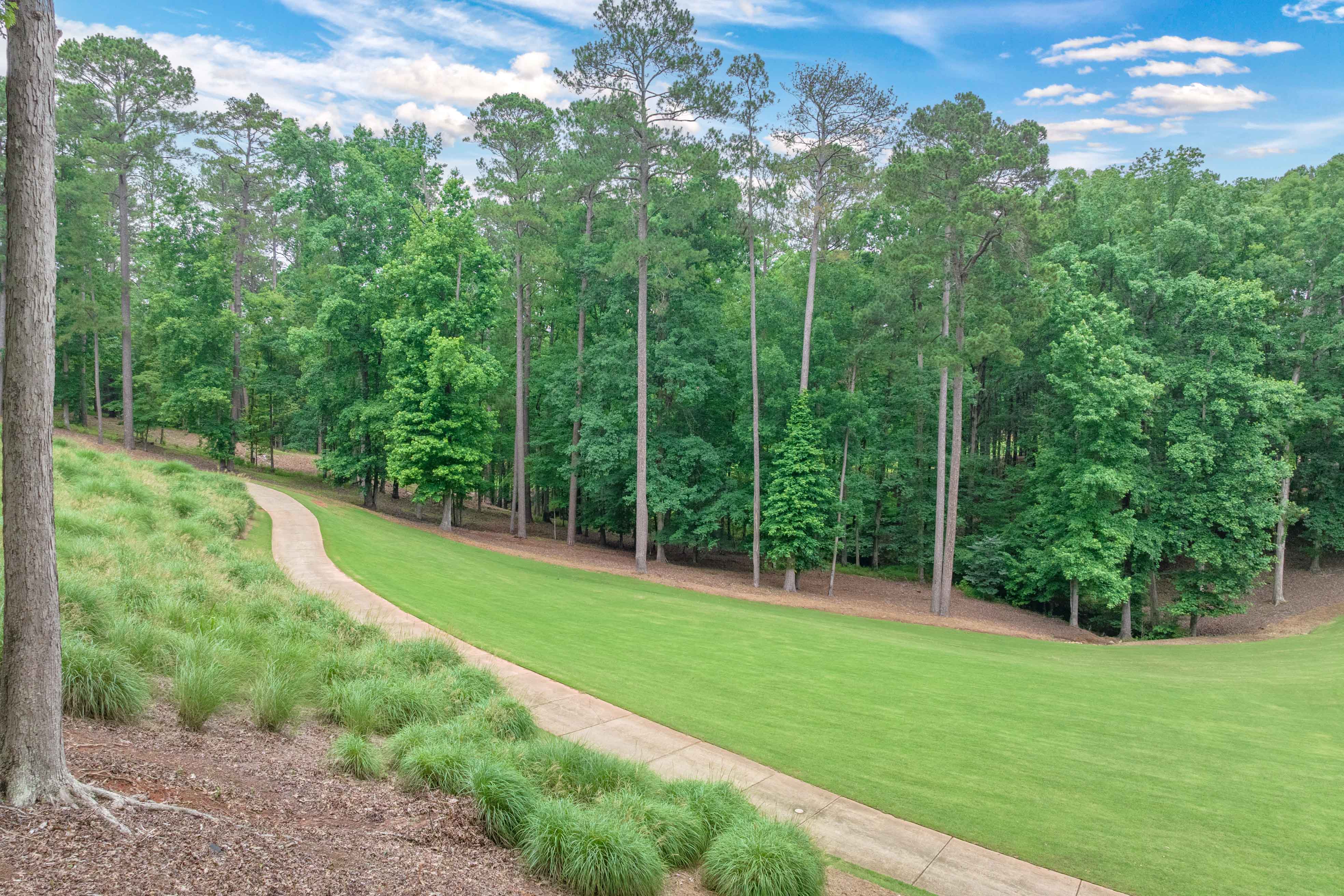 1020 Sallie's View image 44
